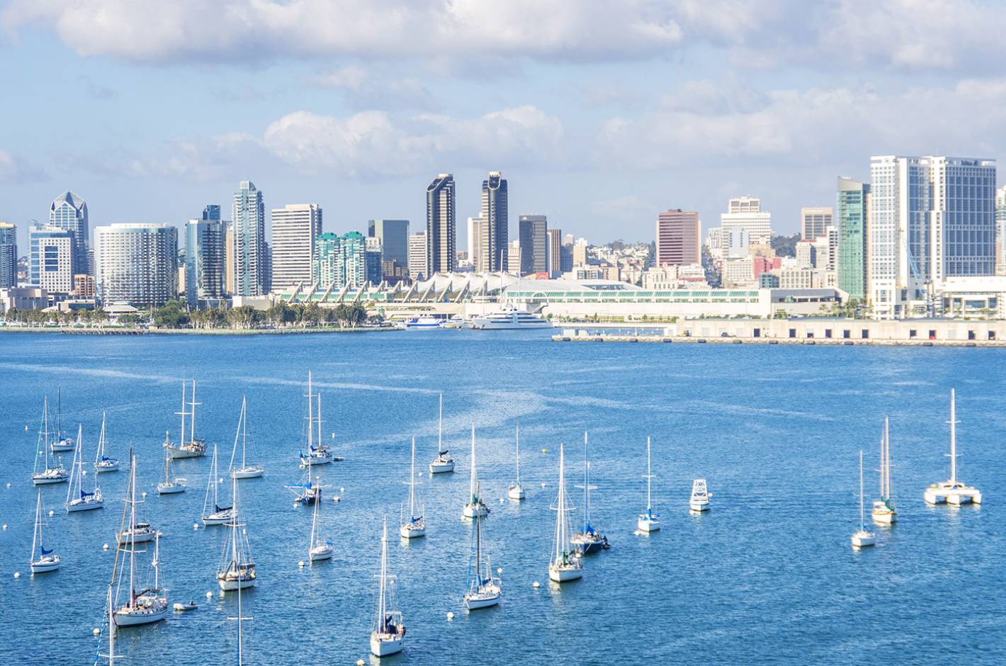 carwiz-san-diego.jpg