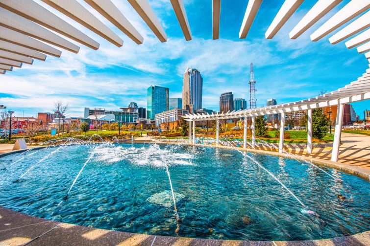 rsz_1rsz_charlotte.jpg